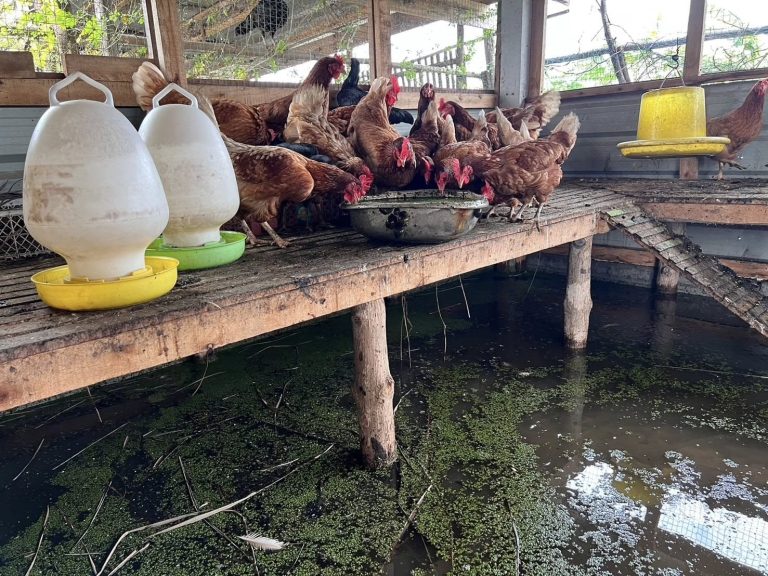 481235503_941606514795746_7327492196137128688_n